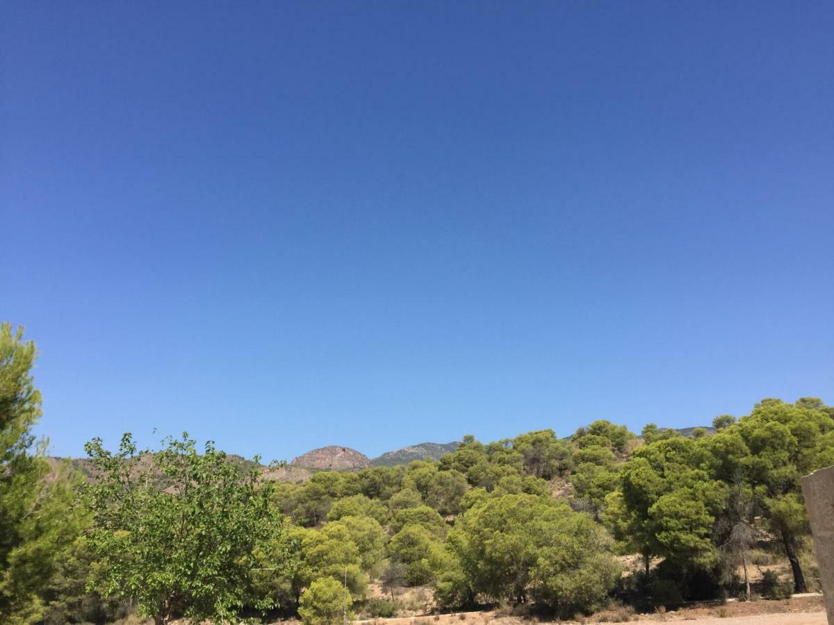 Huerto Espuna トタナ エクステリア 写真